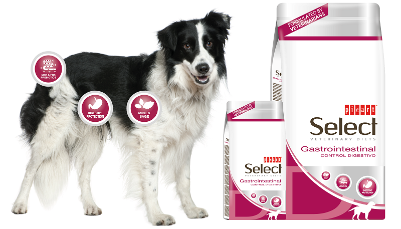 Suņu barība Select Veterinary Gastrointestinal Superpremium 10kg