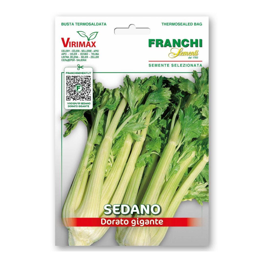 Selerija kātu Dorato 2 3g