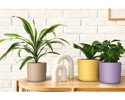 Puķu pods 18cm plastmasas medus krāsas Lora