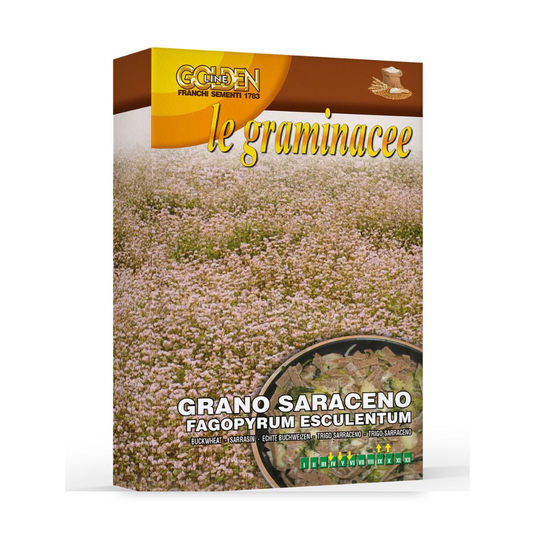 Griķi sējas 100g