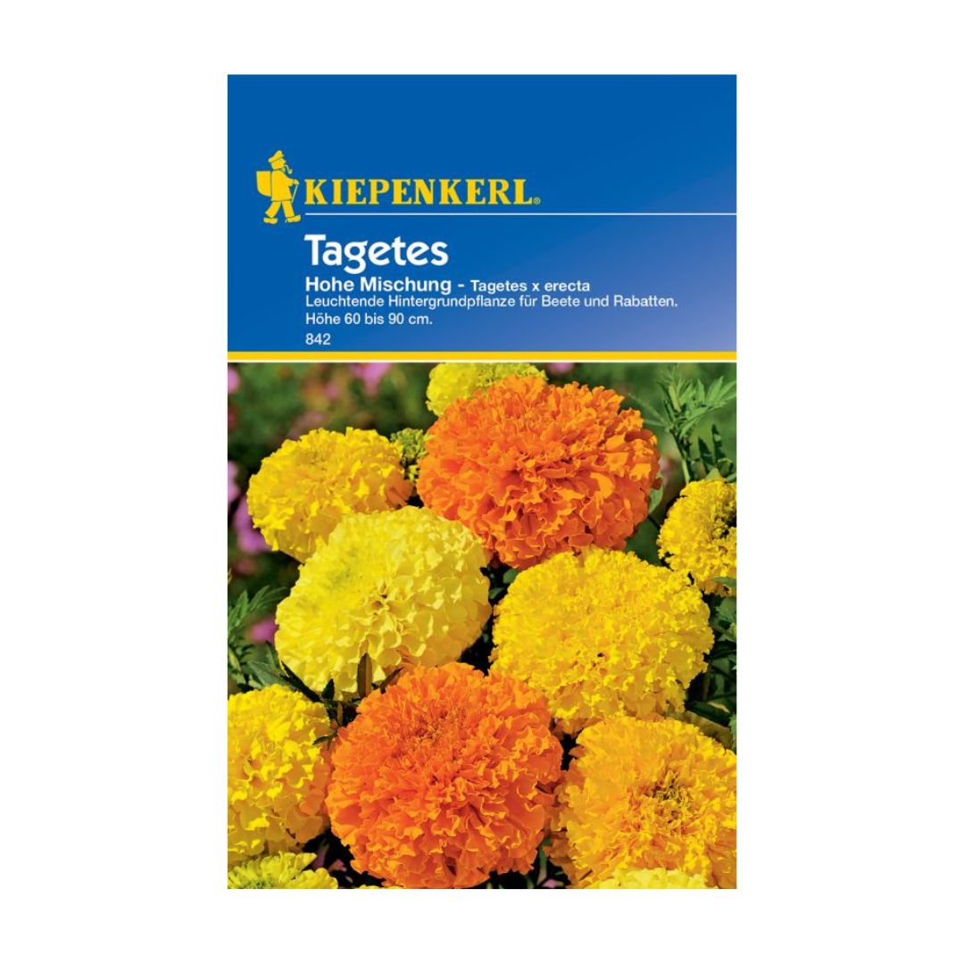 Samtenes augstās maisījums 40stādiem