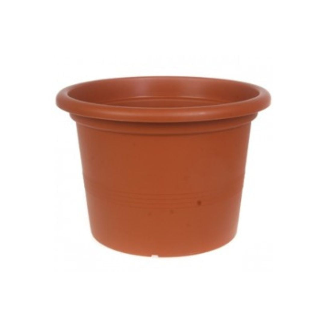 Puķu pods Campanula 20cm plastmasas terakota