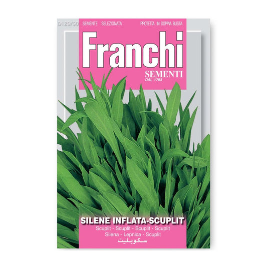 Plaukšķene Silene inflata 2g