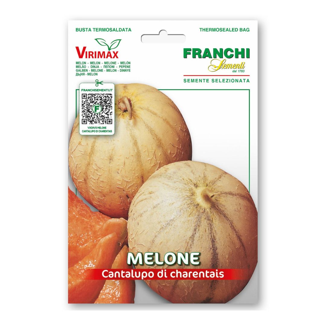 Melone Charentais 3g