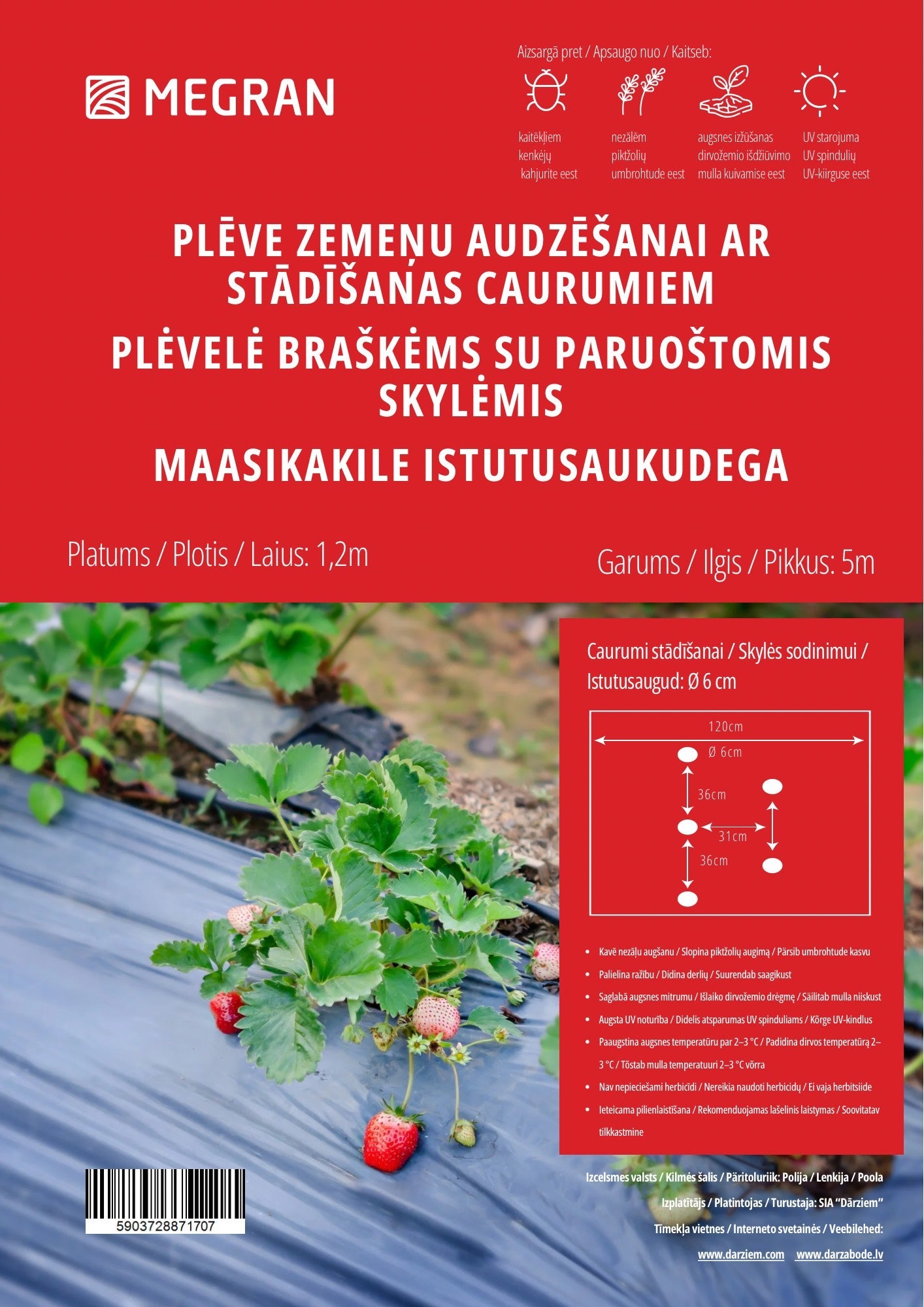 Plēve zemeņu audzēšanai ar stādīšanas caurumiem 1.2x5m
