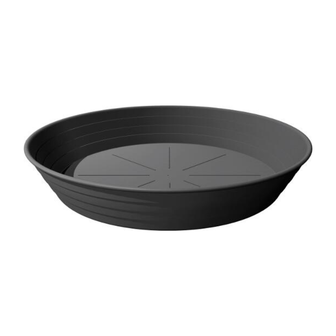 Paliktnis Primavera plastmasas 34cm