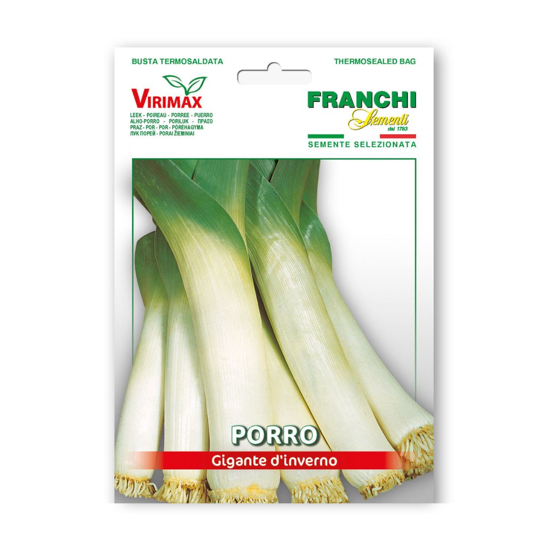 Puravi Gigante d`inverno 3g