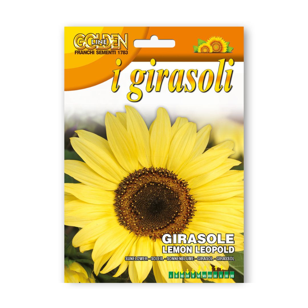 Saulespuķes augstās Lemon Leopold 3g