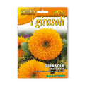 Saulespuķes augstās Orange sun 2g